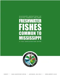 Fish I.D. Guide