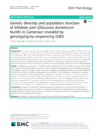 Genetic Diversity and Population Structure of Trifoliate Yam (Dioscorea