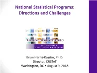 National Statistical Programs: Directions and Challenges