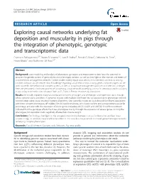 Exploring Causal Networks Underlying Fat Deposition and Muscularity In