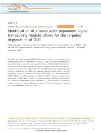 Identification of a Novel Actin-Dependent Signal Transducing