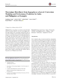 Macroalgae Biorefinery from Kappaphycus Alvarezii: Conversion Modeling and Performance Prediction for India and Philippines As Examples