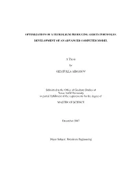 Optimization of a Petroleum Producing Assets Portfolio