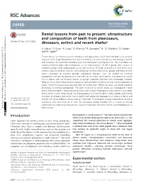 Ultrastructure and Composition of Teeth from Plesiosaurs, Dinosaurs, Extinct