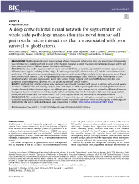 A Deep Convolutional Neural Network for Segmentation of Whole-Slide