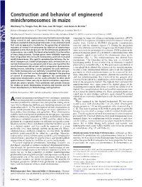 Construction and Behavior of Engineered Minichromosomes in Maize