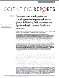 Dynamic Metabolic Patterns Tracking Neurodegeneration and Gliosis