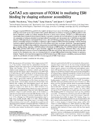 GATA3 Acts Upstream of FOXA1 in Mediating ESR1 Binding by Shaping Enhancer Accessibility