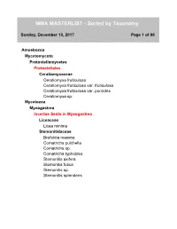 MMA MASTERLIST - Sorted by Taxonomy