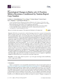 Physiological Changes in Barley Mlo-11 Powdery Mildew Resistance Conditioned by Tandem Repeat Copy Number