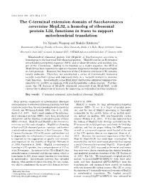 The C-Terminal Extension Domain of Saccharomyces Cerevisiae Mrpl32, a Homolog of Ribosomal Protein L32, Functions in Trans to Support Mitochondrial Translation