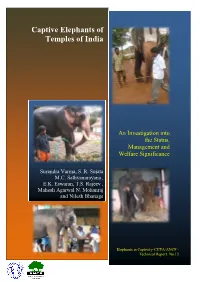 Captive Elephants of Temples of India