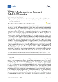 COVID-19, Renin-Angiotensin System and Endothelial Dysfunction