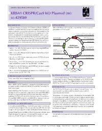 KRBA1 CRISPR/Cas9 KO Plasmid (M): Sc-429589