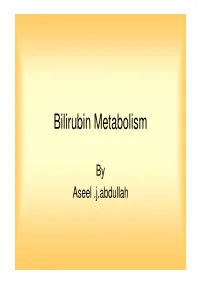 Bilirubin Metabolism