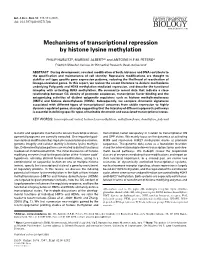 Full Text (PDF)