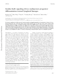 Insulin–Insr Signaling Drives Multipotent Progenitor Differentiation Toward Lymphoid Lineages