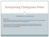 Interpreting Cladograms Notes