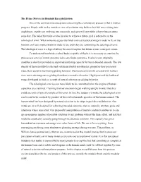 The Prime Movers in Hominid Encephalization One of the Common Misconceptions Concerning the Evolutionary Process Is That It Implies Progress