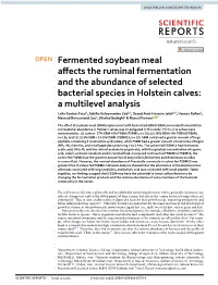 Fermented Soybean Meal Affects the Ruminal Fermentation and The
