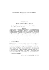 From Biomass Towards Syngas 1 Introduction