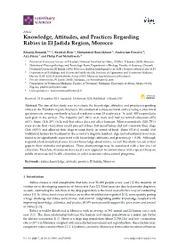 Knowledge, Attitudes, and Practices Regarding Rabies in El Jadida Region, Morocco