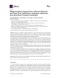 Multi-Analytical Approach for Asbestos Minerals and Their Non-Asbestiform Analogues: Inferences from Host Rock Textural Constraints