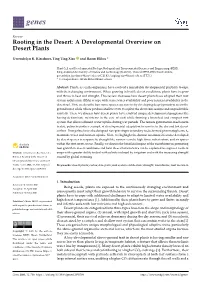 Rooting in the Desert: a Developmental Overview on Desert Plants