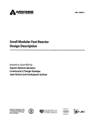 Small Modular Fast Reactor Design Description