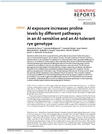 Al Exposure Increases Proline Levels by Different Pathways in An