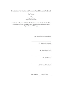 CHAPTER 1: Introduction -Type III Secretion