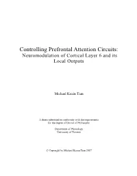 Controlling Prefrontal Attention Circuits: Neuromodulation of Cortical Layer 6 and Its Local Outputs