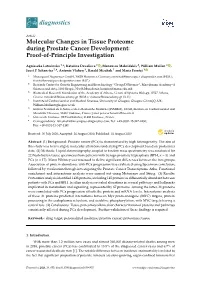 Molecular Changes in Tissue Proteome During Prostate Cancer Development: Proof-Of-Principle Investigation