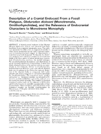 Description of a Cranial Endocast from a Fossil Platypus, Obdurodon Dicksoni