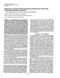Molecular Cloning of DNA Fragments Produced by Restriction