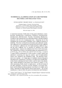 A Numerical Taxonomy of 604 Strains of the Genera Arthrobacter, Aureo