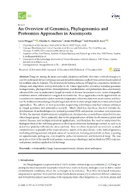 An Overview of Genomics, Phylogenomics and Proteomics Approaches in Ascomycota