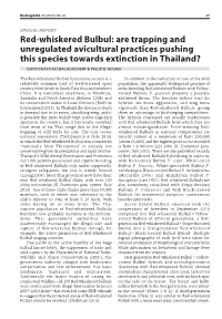 Red-Whiskered Bulbul: Are Trapping and Unregulated Avicultural Practices Pushing This Species Towards Extinction in Thailand? SUPATCHAYA TECHACHOOCHERT & PHILIP D