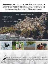 Assessing the Status and Distribution of Avifauna Within the Coastal Talukas of Sindhudurg District, Maharashtra
