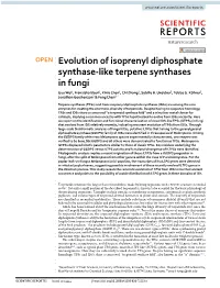 Evolution of Isoprenyl Diphosphate Synthase-Like Terpene