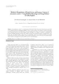 Manipulation of Benzyl Acetate and Jasmone Content of Jasminum Sambac L