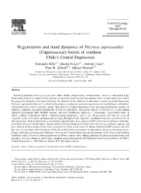 Regeneration and Stand Dynamics of Fitzroya Cupressoides