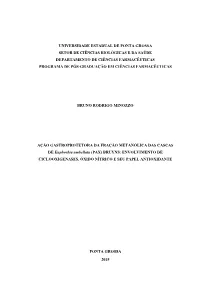 Bruno Rodrigo Minozzo.Pdf