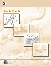 Illinois Fossils Doc 2005