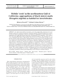 Mobile 'Reefs' in the Northeastern Gulf of California: Aggregations of Black Murex Snails Hexaplex Nigritus As Habitat for Invertebrates