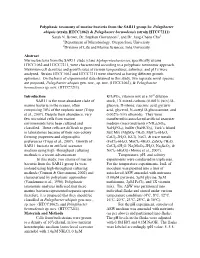 Polyphasic Taxonomy of Marine Bacteria from the SAR11 Group Ia: Pelagibacter Ubiquis (Strain HTCC1062) & Pelagibacter Bermudensis (Strain HTCC7211) Sarah N