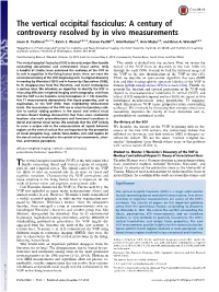 The Vertical Occipital Fasciculus: a Century of Controversy Resolved by in Vivo Measurements