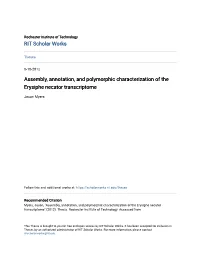 Assembly, Annotation, and Polymorphic Characterization of the Erysiphe Necator Transcriptome