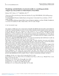 Morphology and Distribution of Antennal Sensilla in a Mealybug Parasitoid, Anagyrus Sp