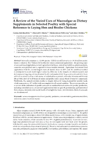 A Review of the Varied Uses of Macroalgae As Dietary Supplements in Selected Poultry with Special Reference to Laying Hen and Broiler Chickens